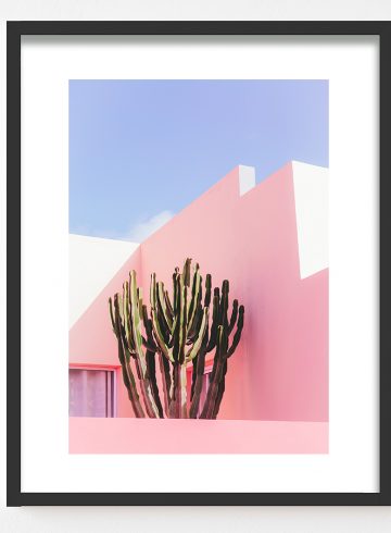 Cactus Cali