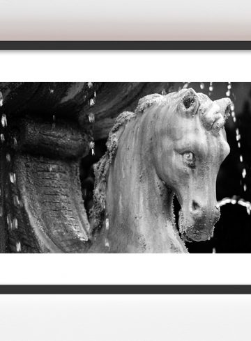 Fuente